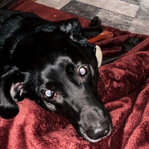 Meet your Posher, Jackie